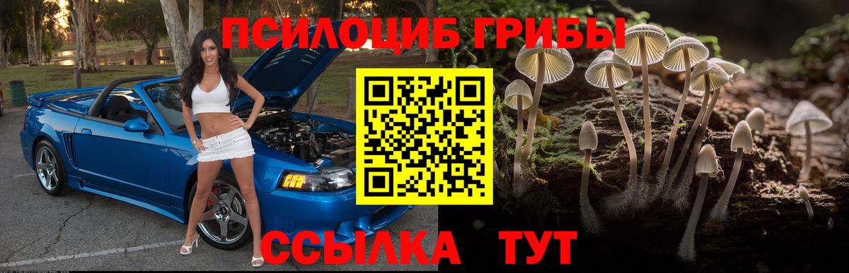 Лыткарино  Псилоцибиновые грибы Psilocybine cubensis  Вход с VPN  как найти закладки  Галлюциногенные грибы ЛСД 